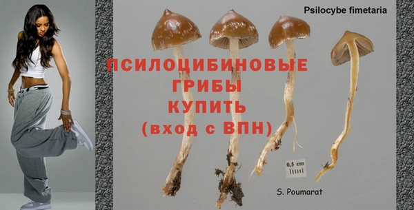ECSTASY Кинешма