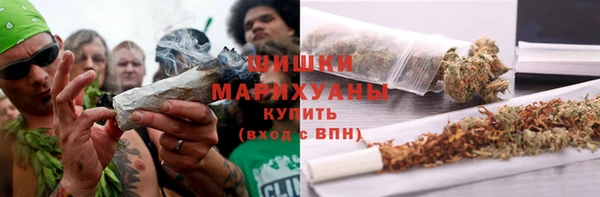 молекула духа Киреевск