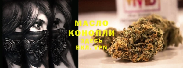 молекула духа Киреевск