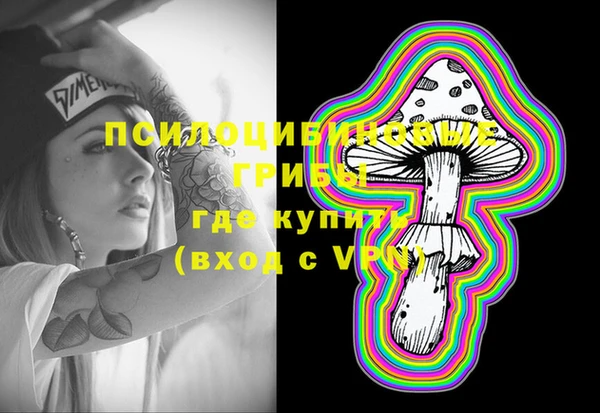 a pvp Киренск