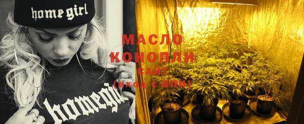 молекула духа Киреевск