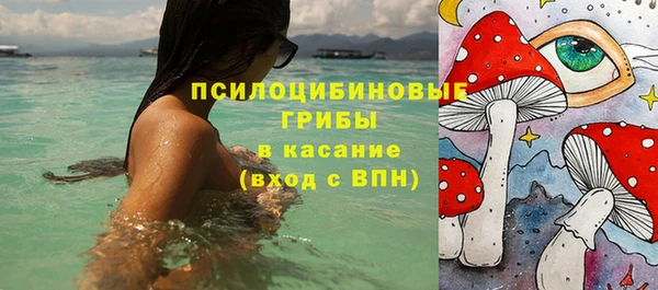 ECSTASY Кинешма