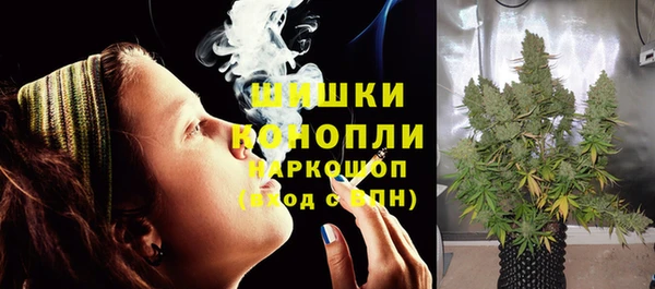 молекула духа Киреевск
