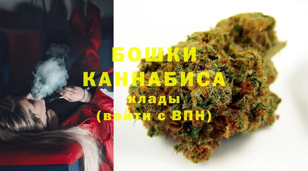 молекула духа Киреевск