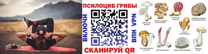 купить   Мамоново  Галлюциногенные грибы мицелий 